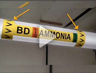 Create Ammonia Pipe Marking Labels with DuraSuite